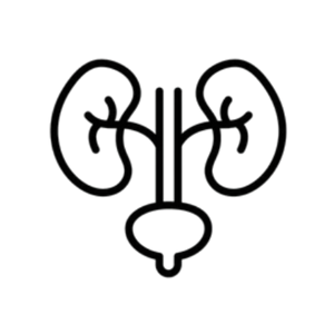 Urologie Craiova – consult urologic pentru rinichi, prostată, vezică urinară și infecții urinare