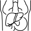 Medicină internă Craiova – consultații complete, diagnostic corect și ecografie abdominală